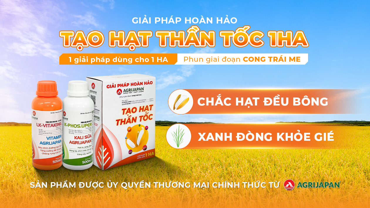 Ảnh mặc định